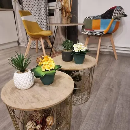 Tres Proche Mediacite - Centre *